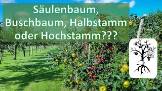 Die 4 Baumformen  Säulenbaum Buschbaum Halbstamm und Hochstamm [upl. by Bonneau]