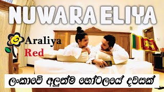 Relax  Aaraliya Red Hotel Nuwara Eliya  Sri Lanka  Travel to travel Sri lanka VLOG 7 [upl. by Brand]