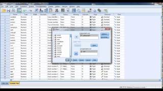 Comparing Means in SPSS [upl. by Macfadyn]