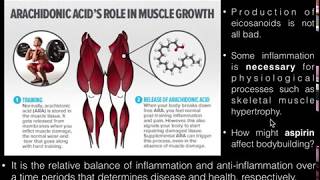 PUFAs Basics of Arachidonic Acid and its Metabolism [upl. by Dempsey]