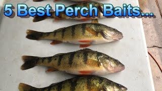 Perch Fishing Tips  The Only 5 Perch Baits That Matter [upl. by Maon]