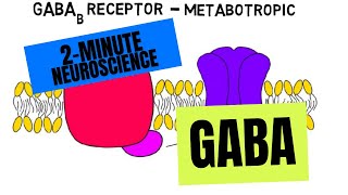 2Minute Neuroscience GABA [upl. by Heidy566]