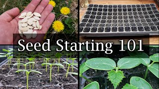 How To Start Vegetable Seeds  The Definitive Guide For Beginners [upl. by Christal]