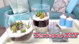 Idea fácil para hacer un regalo  Terrario con plantas DIY [upl. by Micky]