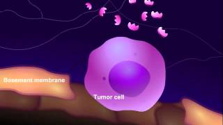 Introduction to Cancer Biology Part 3 Tissue Invasion and Metastasis [upl. by Eninahs859]