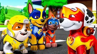 Surfs Up Pups  Puppy Dog Pals  Official Disney Channel Africa [upl. by Ylatan]