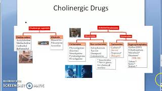 Pharmacology 101 e OrganoPhosphate Poisoning Treatment Carbamate Malathion Diazinon Pralidoxime [upl. by Siblee]