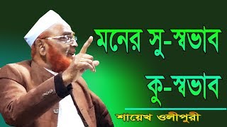 মনের সু স্বভাব কু স্বভাব Allama Nurul Islam Olipuri Bangla Waz 2019 [upl. by Lebisor]