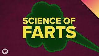 The Science of Farts [upl. by Donn261]