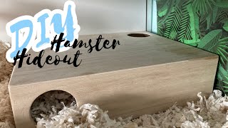 DIY Hamster MultiChamber Hideout [upl. by Nylyram]