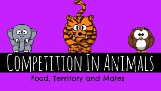 Competition In Animals  Food Territory and Mates  GCSE Biology [upl. by Nalro]