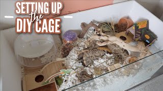 Setting up my DIY Hamster Cage [upl. by Assirok]