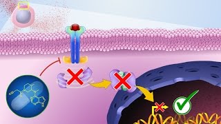 Mechanism of Action of JAK Inhibitors [upl. by Jet]