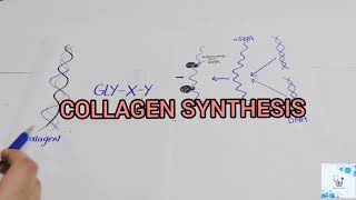 COLLAGEN SYNTHESIS [upl. by Pierrepont]