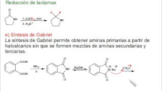 Síntesis de aminas [upl. by Nivel]