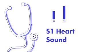 Heart Sounds Collection  EMTprepcom [upl. by Bore]