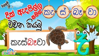 Pillam  Dik Adapilla  දික් ඇදපිල්ල සමග වචන කියමු  පිල්ලම් පාඩම 91 [upl. by Etnomal]