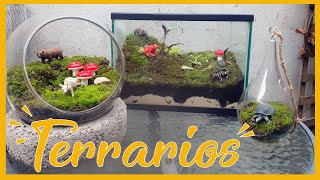 Cómo hacer TERRARIOS BONITOS 🌿🔮  Tutorial [upl. by Atirabrab]