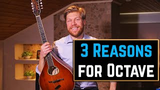 3 Reasons Why I Think You Should Play the Octave Mandolin [upl. by Anchie602]