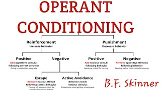 Operant conditioning in learning psychology [upl. by Xena]