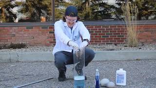 How to Make Elephant Toothpaste [upl. by Ilene]