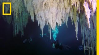 Explore the Worlds Largest Underwater Cave  National Geographic [upl. by Hedberg]