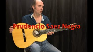 Prudencio Saez Flamenca Negra [upl. by Lertsek]