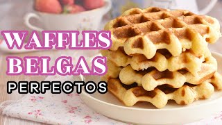 LA MEJOR RECETA DE WAFFLES O GOFRES BELGAS  AnnasPasteleria [upl. by Abla589]