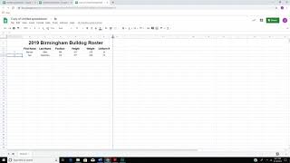 Google Sheets  Team Roster [upl. by Arracot]