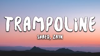 SHAED x ZAYN  Trampoline Lyrics [upl. by Ozen27]