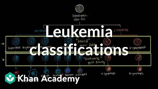 Leukemia classifications  Hematologic System Diseases  NCLEXRN  Khan Academy [upl. by Wayolle]