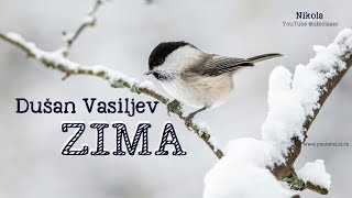 Dušan Vasiljev – ZIMA Tekst [upl. by Podvin]