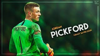 Jordan Pickford 2019 ▬ Everton ● Crazy Saves amp Passing  HD [upl. by Neysa]