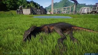 Indoraptor vs Blue Breakout amp Fight  Jurassic World Evolution Dinosaurs Fighting [upl. by Hayikat514]