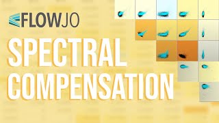 FlowJo Webinar Spectral Compensation 41620 [upl. by Froma]