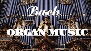 Bach  The Best Organ Music [upl. by Veats]