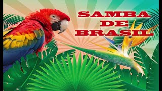 SAMBA DE BRASIL [upl. by Simetra949]