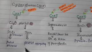 NSAID Pharmacology introduction [upl. by Eidur]