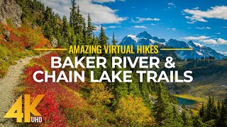 4K Virtual Hike Near River through the Forest  Baker River Trail amp Chain Lake Trail [upl. by Hairas53]