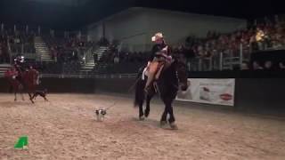 EQUITANA 2019  UELZENER Horse amp Dog Trail [upl. by Elletnwahs]