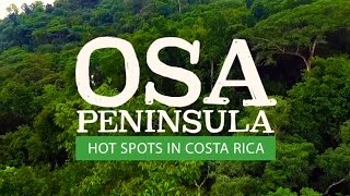 Travel to the Osa Peninsula amp Corcovado Costa Rica [upl. by Bracci]