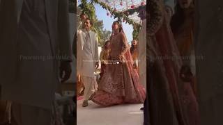 Mawra dance at shendi l mawra hocane weddingwedding [upl. by Elsie]