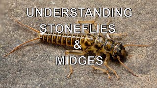 Understanding Stoneflies amp Midges with Tom Rosenbauer [upl. by Tiffany950]