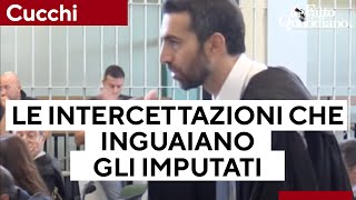 Cucchi la requisitoria di Musarò e le intercettazioni che inguaiano gli imputati [upl. by Aldredge]