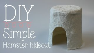 DIY simple Hamster hideout [upl. by Yanffit]