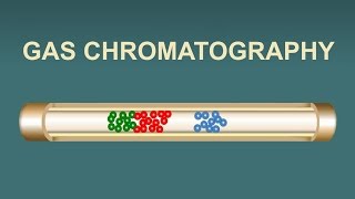 Gas Chromatography IQOGCSIC [upl. by Keviv]