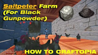 How to make a Saltpeter Farm for black gunpowder HOW TO CRAFTOPIA [upl. by Reichel]