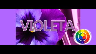 Como saco el Color Morado o Violeta [upl. by Althea625]