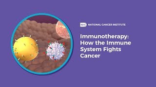 Immunotherapy How the Immune System Fights Cancer [upl. by Marlane985]