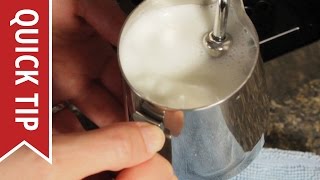 How to AutoFroth Milk for Lattes [upl. by Neros]